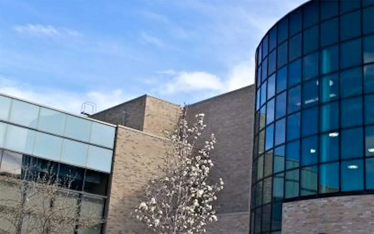 Massage Therapy in Maple Best Massage Therapist